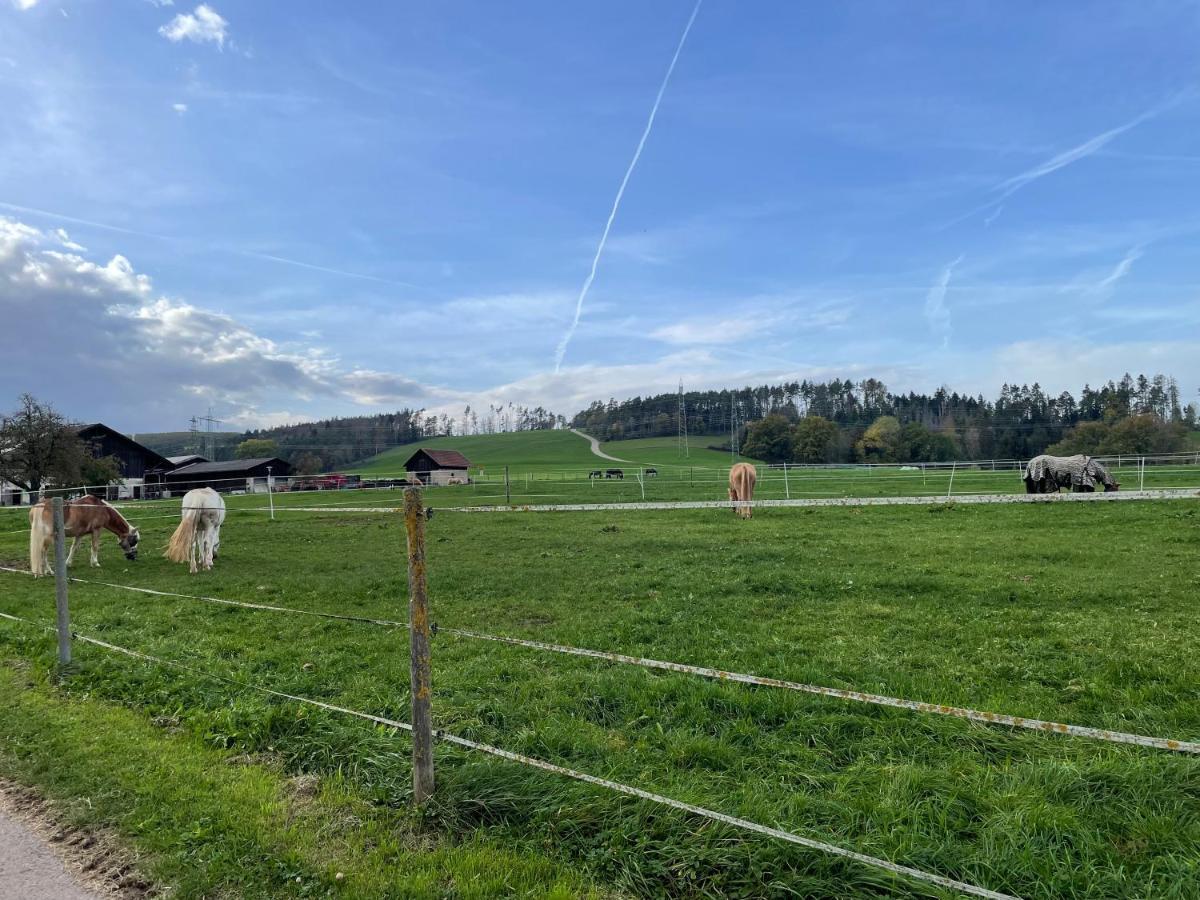 Ferien Im Schwarzwald - Ruhe & Naturverbunden Weilheim Bagian luar foto