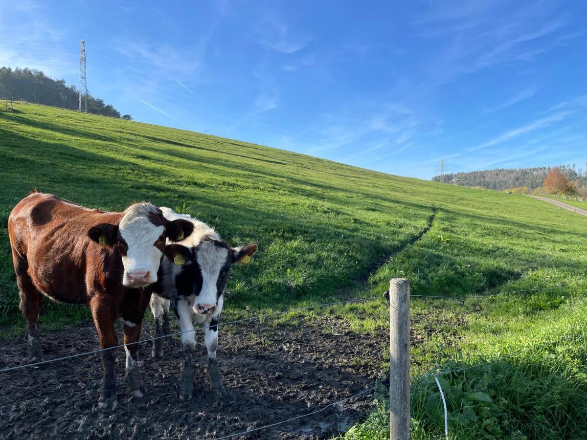 Ferien Im Schwarzwald - Ruhe & Naturverbunden Weilheim Bagian luar foto