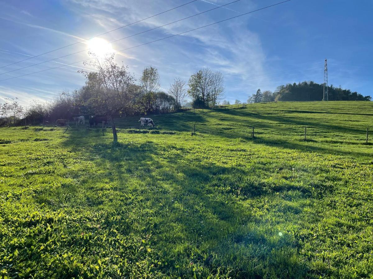 Ferien Im Schwarzwald - Ruhe & Naturverbunden Weilheim Bagian luar foto