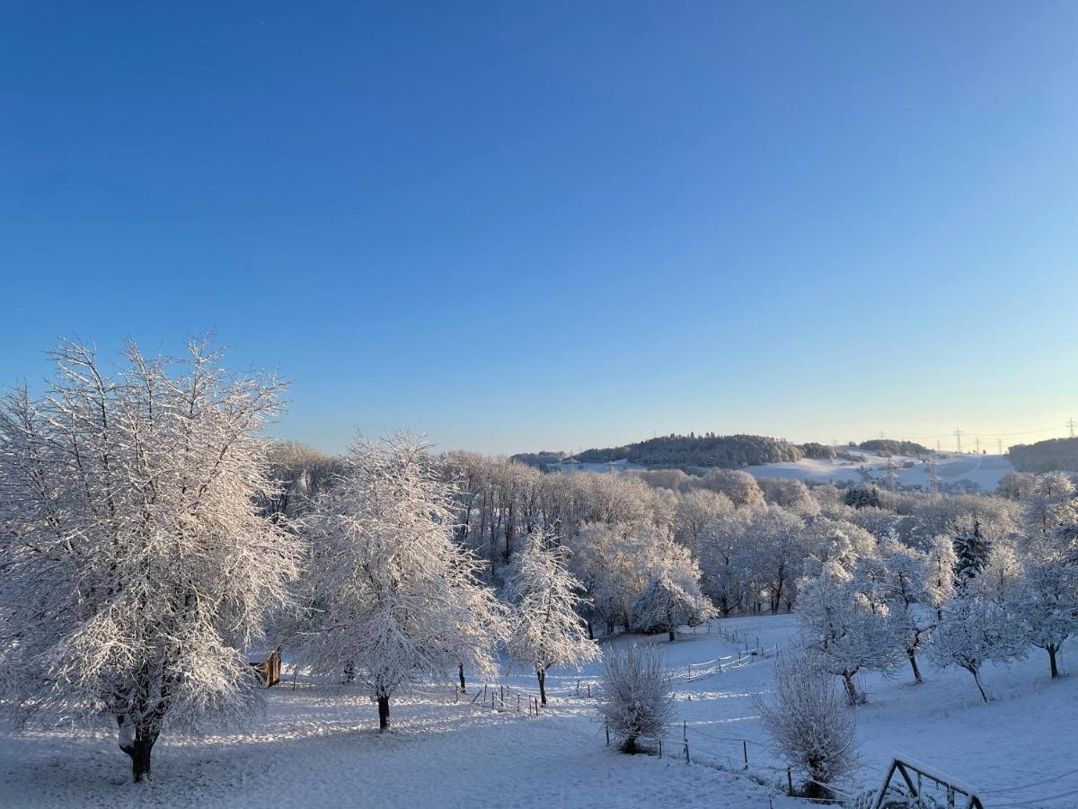 Ferien Im Schwarzwald - Ruhe & Naturverbunden Weilheim Bagian luar foto