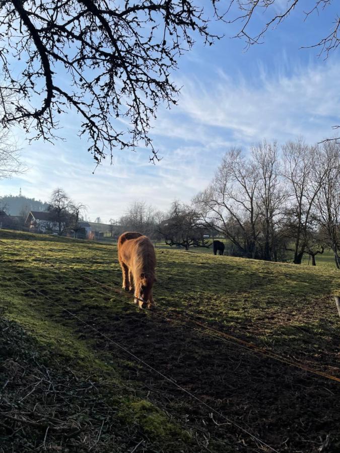 Ferien Im Schwarzwald - Ruhe & Naturverbunden Weilheim Bagian luar foto